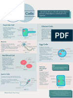 Specialised Cells