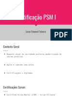 PSM I - Técnicas e Estudo para Certificação PDF