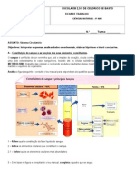 Ficha de Trabalho - Sistema Circulatório