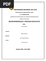 Informe Final de Neuro Aprendizaje