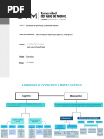 Mapa Conceptual. Aprendizaje Cognitivo y Metacogntivo