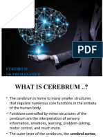 Cerebrum DR Premanand B