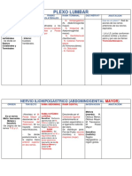 Plexo Lumbar - Quadro Resumo