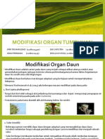 Modifikasi Organ Tumbuhan