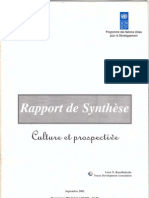 Culture Et Prospective: Rapport de Synthèse (PNUD - 2002)