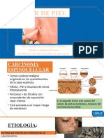 Mehu131 - U2 - T2 - Clase de Cáncer de Piel