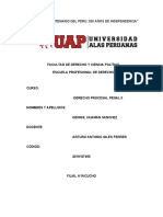 Trabajo Academico Derecho Procesal Penal II