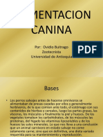 Alimentacion y Nutricion de Mascotas