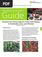 AVRDC Chili Postharvest