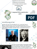 Compusul Macromolecular: ADN: A Elaborat: Lazăr Gabriel Specialitatea Chimie