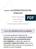 Bases Neurobiológicas Del Lenguaje