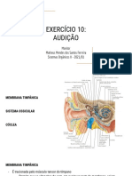 Exercício 10 - Audição - Resolução  