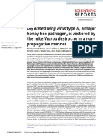 Deformed Wing Virus Type A, A Major