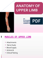 Anatomy of Upper Limb