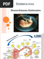 Aula 6 Embriologia Parte 2