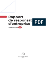 Labrador Rapport Rse FR 2020