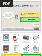 Categorias Semanticas 3 PPTX