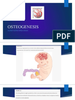 Osteogenesis - Edith Rueda