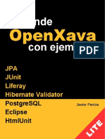 Openxava Con Ejemplos LITE