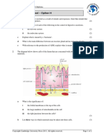 Extension Worksheet - Option H