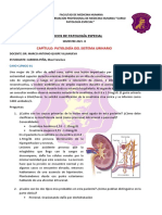 Patología Del Sistema Urinario 