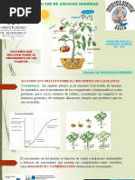 Factores Que Influyen en Crec Plantas