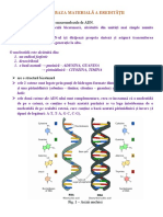 Adnul Baza Materiala A Ereditatii