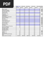 IPCA Ratio Analysis Template