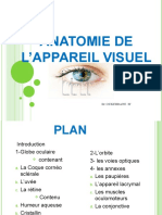 1.anatomie de L'appareil Visuel