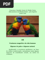 Mecanismos Da Mediunidade Cap.16 - André Luiz - Chico Xavier e Waldo Vieira