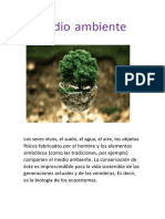 Proyecto El Medio Ambiente