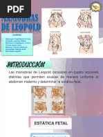 Maniobras de Leopold