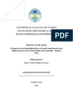 Proyecto de Investigacion