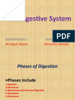 The Digestive System (PPT SEMINAR)