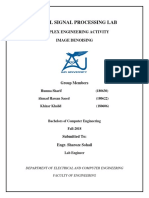 DSP Complex Engineering Activity