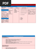 Plan de Cuidados COVID 19