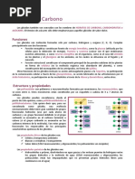 Teoría Hidratos de Carbono 