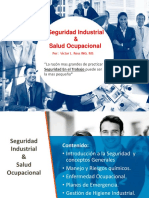 Seguridad Indus y Salud Ocupal 1