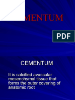 Cementum