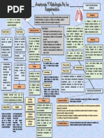 Anatomía Y Fisiología de La Respiración