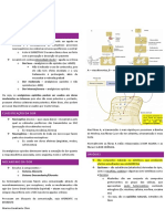  Analgésicos Opióides