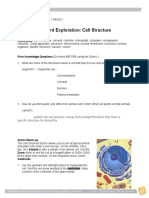 Student Exploration: Cell Structure: Vocabulary: Cell Membrane, Cell Wall, Centriole, Chloroplast, Cytoplasm, Endoplasmic