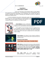 Chapter 4 Measuring Crimes