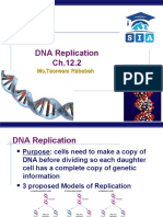 DNA Replication: Ms - Tasneem Rababah