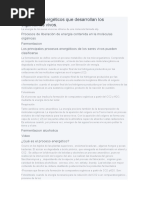 Procesos Energéticos Que Desarrollan Los Organismos Vivos