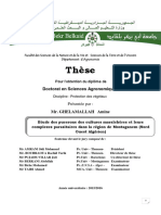 Thèse de Doctorat Version Finale