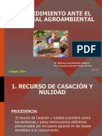 Procedimiento Ante El Tribunal Agroambiental