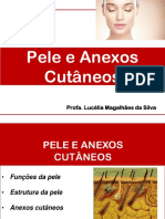 Aula 2 - Pele e Anexos Cutaneos 2020