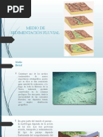 1.medio de Sedimentacion Fluvial