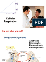 Chapter 6 - Cellular Respiration